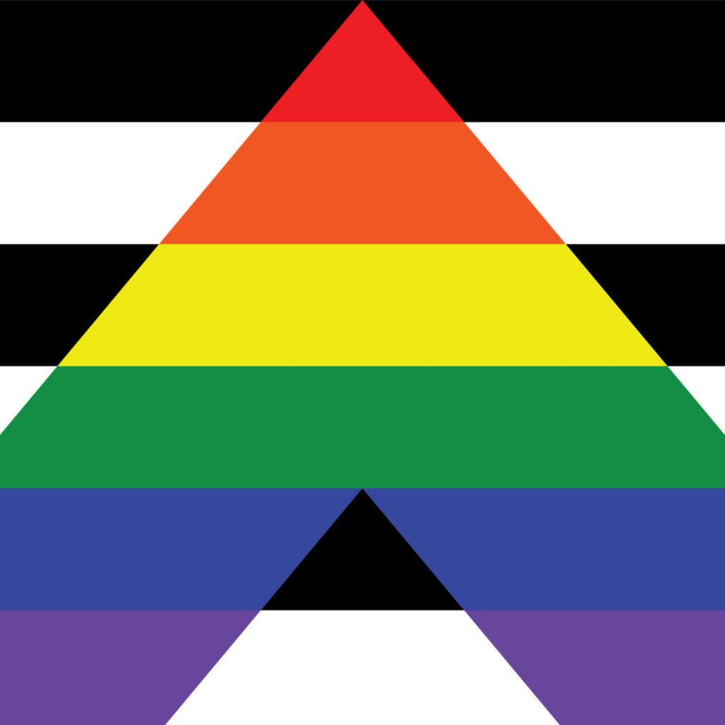 QUEERLIGHT | Ally Double Sided Flag (4 sizes)