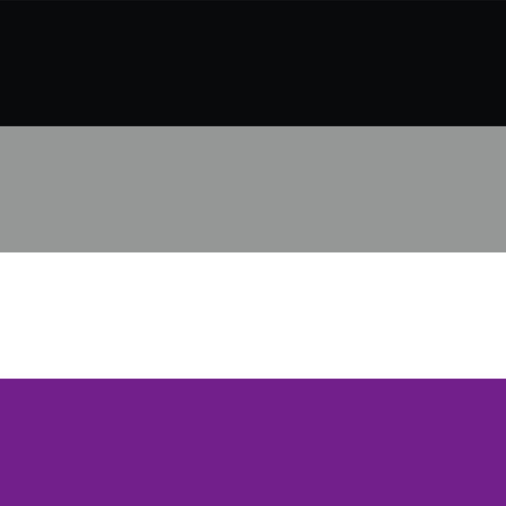 QUEERLIGHT | Asexual Pride Double Sided Flag (4 sizes)