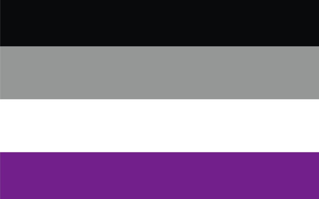 QUEERLIGHT | Asexual Pride Double Sided Flag (4 sizes)