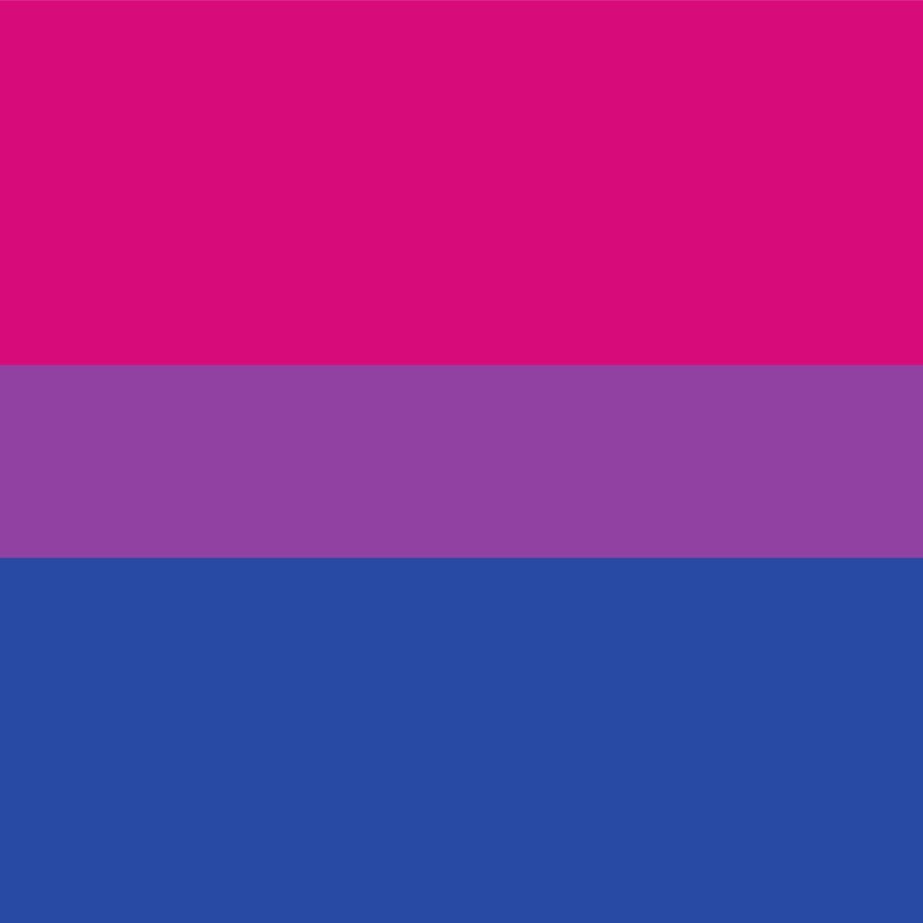 QUEERLIGHT | Bisexual Pride Double Sided Flag (4 sizes)