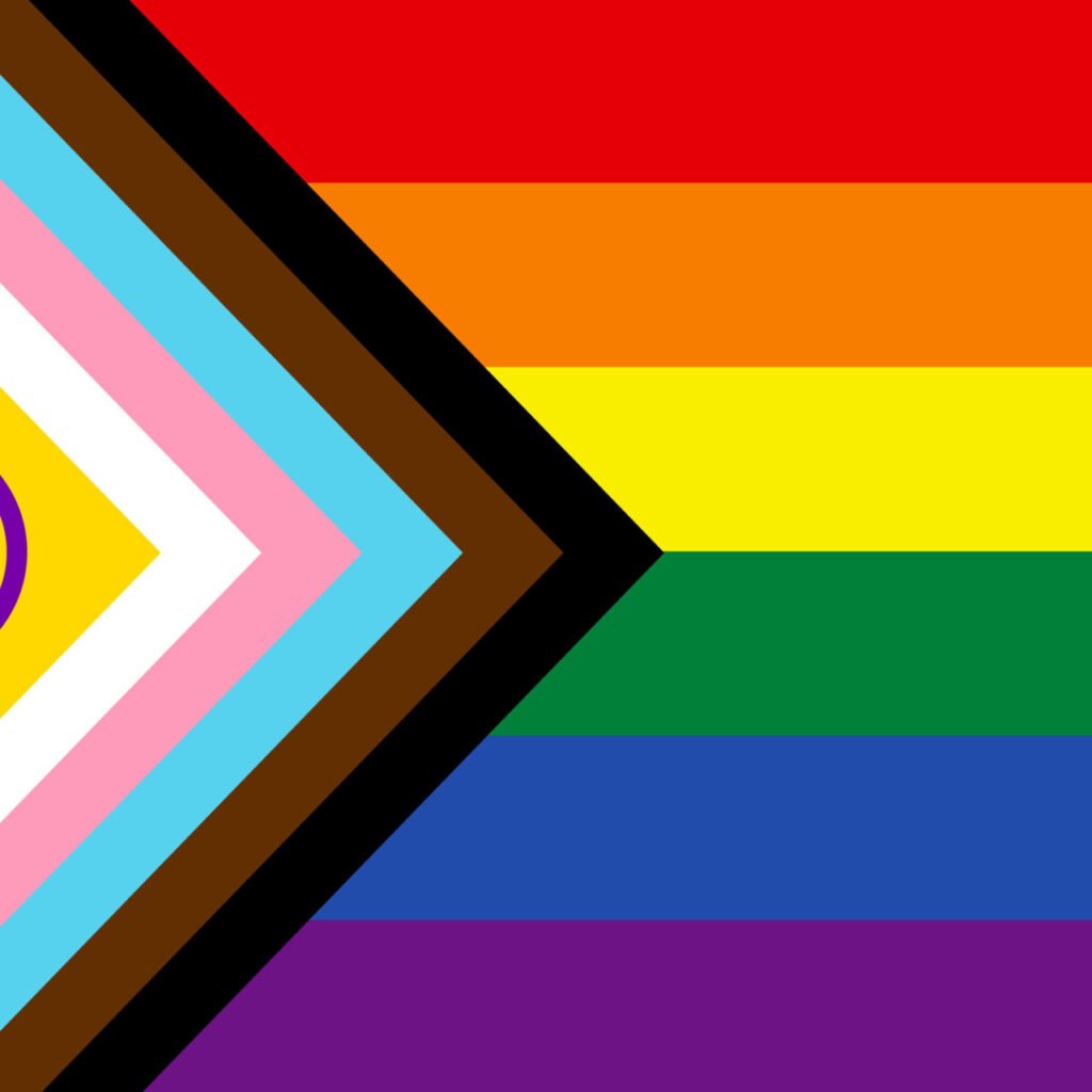 QUEERLIGHT | PROGRESS  Pride Double Sided Flag (4 sizes)