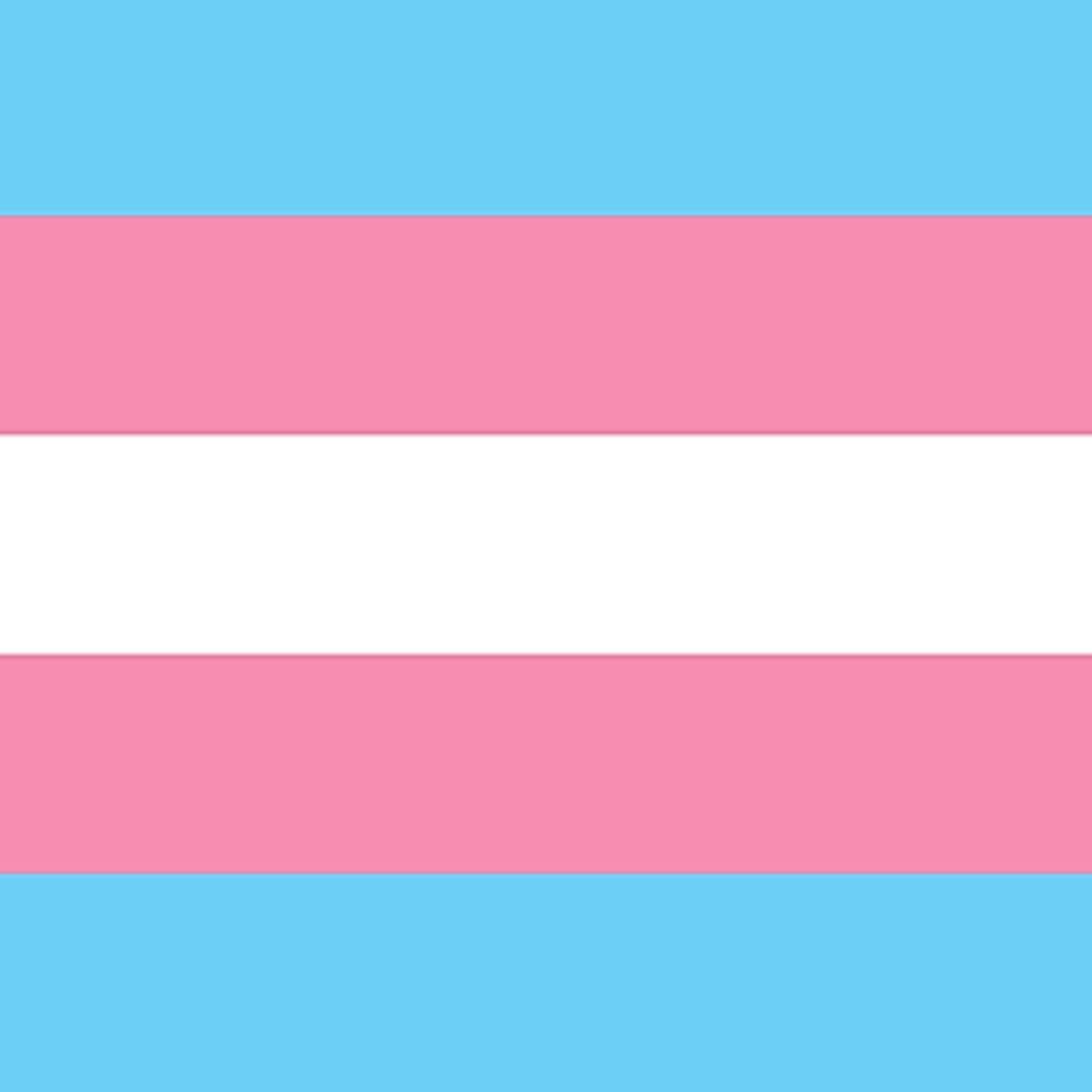 QUEERLIGHT | Trans Pride Double Sided Flag (4 sizes)